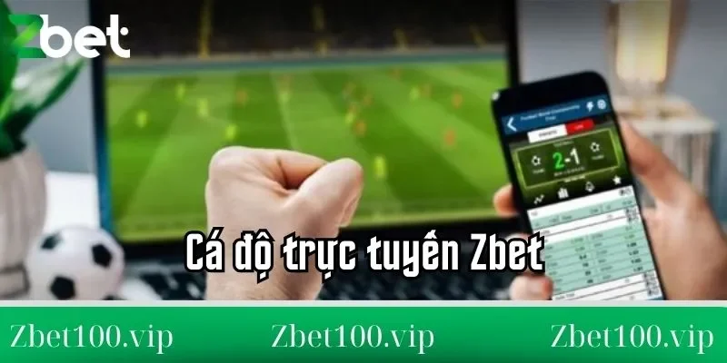 cá độ trực truyến zbet Tổng quan cá độ trực truyến zbet